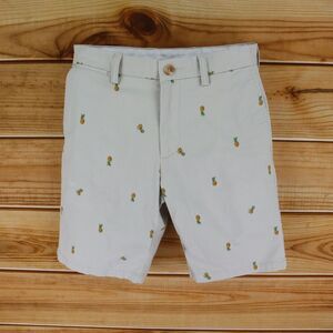 Old‎ Navy Chino Shorts Mens 30 Beige Pineapple Print Ultimate Slim Built-In Flex